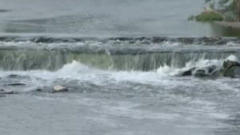 Las nutrias vuelven al río Besós