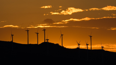 Proyectos que suman más de 600 aerogeneradores y cientos de kilómetros de líneas eléctricas amenazan con cerrar los flancos sur y oeste de la reserva de Bardenas.