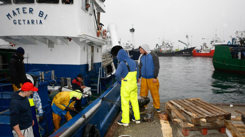 Los productores del Cantábrico responden a las conserveras que la anchoa se explota de forma "totalmente sostenible"