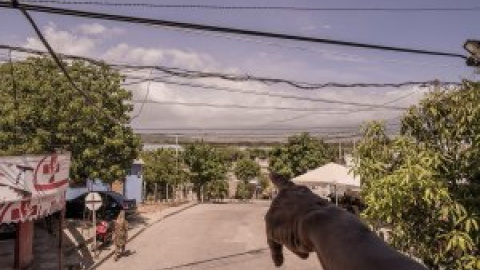 El polvillo que contamina el mundo: así es el eje del carbón entre Colombia y Alemania