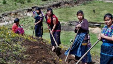 Los argumentos a favor de una renta básica universal