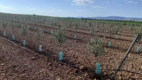 Agricultores de Ciudad Real denuncian una oleada de robos de material de riego y transformadores eléctricos