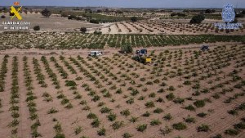 Seis detenidos en Albacete por explotación laboral a migrantes en situación irregular con jornadas de hasta doce horas