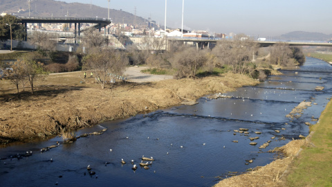 26/01/2022 - El tram del riu Besòs on es farà el projecte de renaturalització.