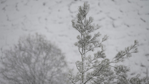 nieve Cantabria