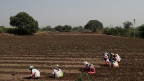 Millones de mujeres y personas sin techo, marginados en las elecciones de la India