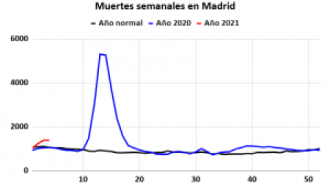 Principia Marsupia - Lo que desvelan los primeros datos de mortalidad de 2021: una gran disparidad entre regiones