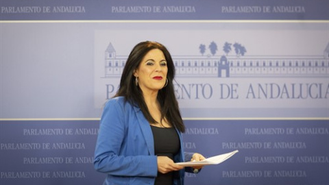 Ángeles Férriz, nueva portavoz parlamentaria del PSOE de Andalucía.