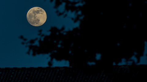 Imagen de archivo de la Luna llena en el Parque de María Luisa, el 26 de mayo de 2021 en Sevilla. - EUROPA PRESS