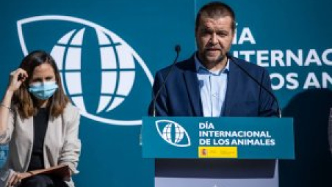 Derechos Sociales plantea prohibir por ley la venta de animales