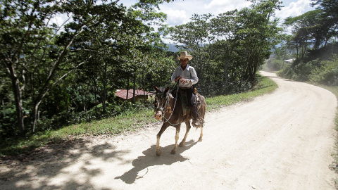 Un agricultor en una finca de El Laurel (Honduras).