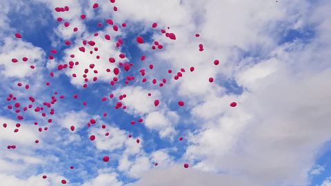 CelebraciÃ³n en Pamplona del DÃ­a Internacional del cÃ¡ncer de mama