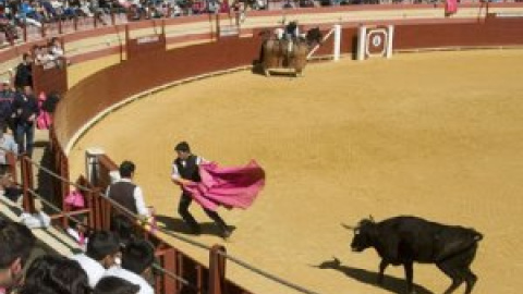 La capital mexicana, en trámites para prohibir los toros