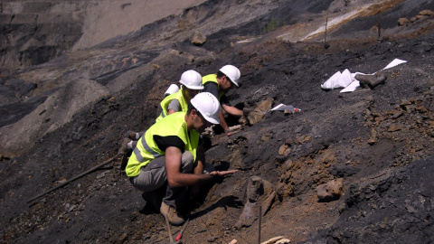 Excavación de fósiles en la mina Santa María, en Ariño. /FUNDACIÓN DINÓPOLIS