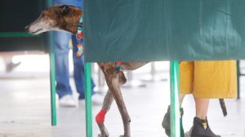 Comiendo tierra - Vota y no te metas en política