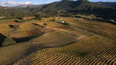 La ONU alerta de la alta contaminación por plásticos de los suelos de cultivo, mayor que la de los océanos