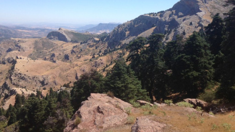 Parque Nacional de la Sierra de las Nieves