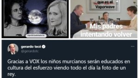 De Ayuso a Vox: los memes y bromas en redes sociales como arma política