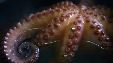 Una fotografía tomada el 22 de noviembre de 2014 muestra un 'pulpo a feira' en el restaurante Ultreya en Palas de Rei.