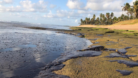 Praia do Forte (Bahía), invadida por el crudo./ INSTITUTO BIOMA 17/10/19.