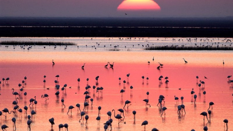 Un atardecer en Doñana.