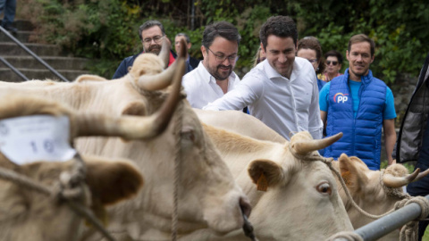 El secretario general del PP, Teodoro García Egea, visita una ganadería en La Palma.