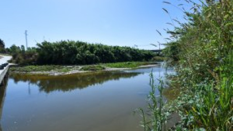 L'àmbit metropolità del riu Llobregat té més de 2.500 espècies de flora i fauna, de les quals 336 protegides