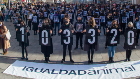 Activistas de Igualdad Animal en la Puerta del Sol