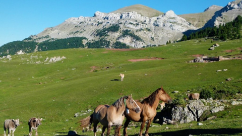 El Comabona, un dels millors miradors de la Cerdanya