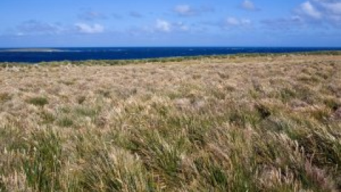 Reino Unido planea extraer 500 millones de barriles de petróleo de las Islas Malvinas