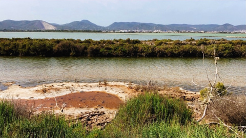 Parque Natural de Ses Salines. - Mila García Nogales