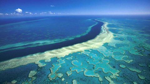 Descubierto un nuevo arrecife de coral en la Gran Barrera de Australia, el primero en 120 años