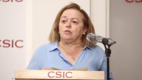 La presidenta del Consejo Superior de Investigaciones Científicas (CSIC), Rosa Menéndez