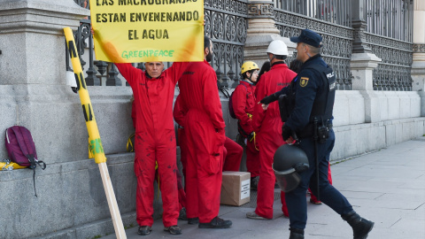 01/08/2024 Varios miembros de la organización ecologista Greenpeace en una acción contra las macrogranjas en Madrid. Foto de archivo.