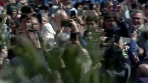 El papa pide una tregua de Semana Santa en Ucrania durante la misa del Domingo de Ramos