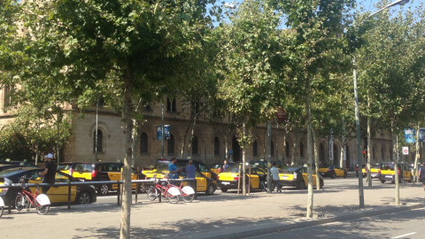 Taxistes en marxa lenta pels carrils centrals de la Gran Via de Barcelona, a l'alçada de Plaça Universitat. Alguns d'ells, fora dels seus vehicles. / Laia Cugota