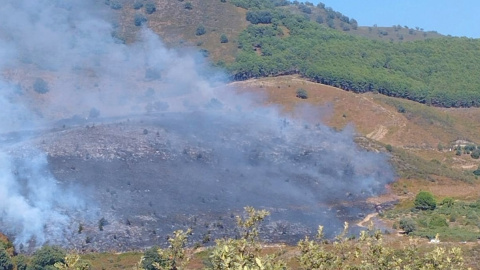 Un incendio forestal en la provincia de Ávila afecta a un importante yacimiento arqueológico