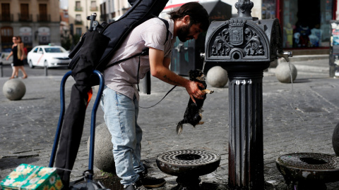 Un hombre refresca a su perro en una fuente pública de Madrid. REUTERS/Javier Barbancho