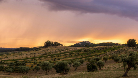 Tren de Madrid a Sevilla: Descubre el encanto del sur