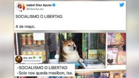 "Socialismo o tortilla de patata con cebolla": chanzas en Twitter con una frase de  Ayuso