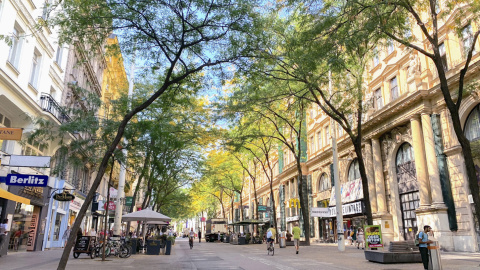 Vista de unos árboles en una calle de Viena (Austria). EFE/ Juan Aguilar