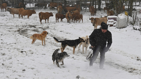 08/11/2019.- Un hombre junto a sus perros y ganado en la región de Pontedo que se encuenrta cubierta de nieve por el temporal que azota la región. EFE/J.Casares