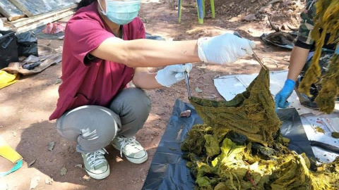 Siete kilos de basura en el estómago  de un ciervo en Tailandia. / FACEBOOK DEL DEPARTAMENTO DE PARQUES NACIONALES