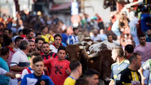 28/08/2018.- Astados de la ganadería Passanha durante el primero de los seis encierros de San Sebastián de los Reyes que se ha saldado con dos heridos leves, uno por caído y otro por un puntazo por asta de toro, tras una carrera que ha durado 1 minuto 