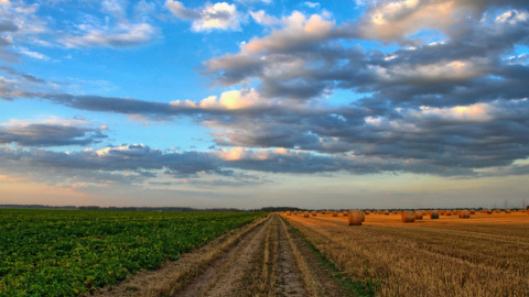 Imagen de archivo de un campo de cultivo/ Pixabay