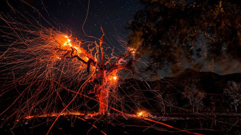 Lluvia de brasas de un árbol devastado durante los incendios forestales que asolaron California el pasado octubre. Philip Pacheco / AFP / Getty