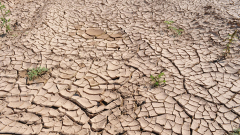 11/05/2022-Imagen de archivo de tierra afectada por la sequía