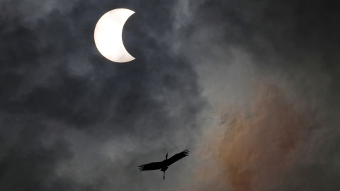 26/12/2019 - Un pájaro vuela durante el eclipse solar en Bangkok, Tailandia. REUTERS / Soe Zeya Tun