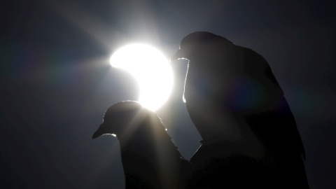 26/12/2019.- El eclipse solar parcial es visible desde Phnom Penh, Camboya. EFE / EPA / KITH SEREY