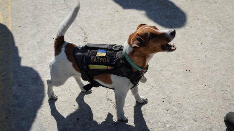 (5/5/2022) Patrón en un aeródromo de la localidad de Hostomel.